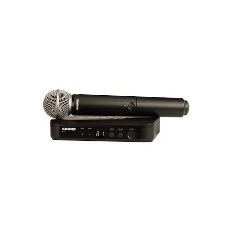 SHURE BLX24E / SM58