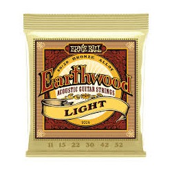 ERNIE BALL 2004 Earthwood Light