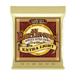 ERNIE BALL 2006 Earthwood Extra Light
